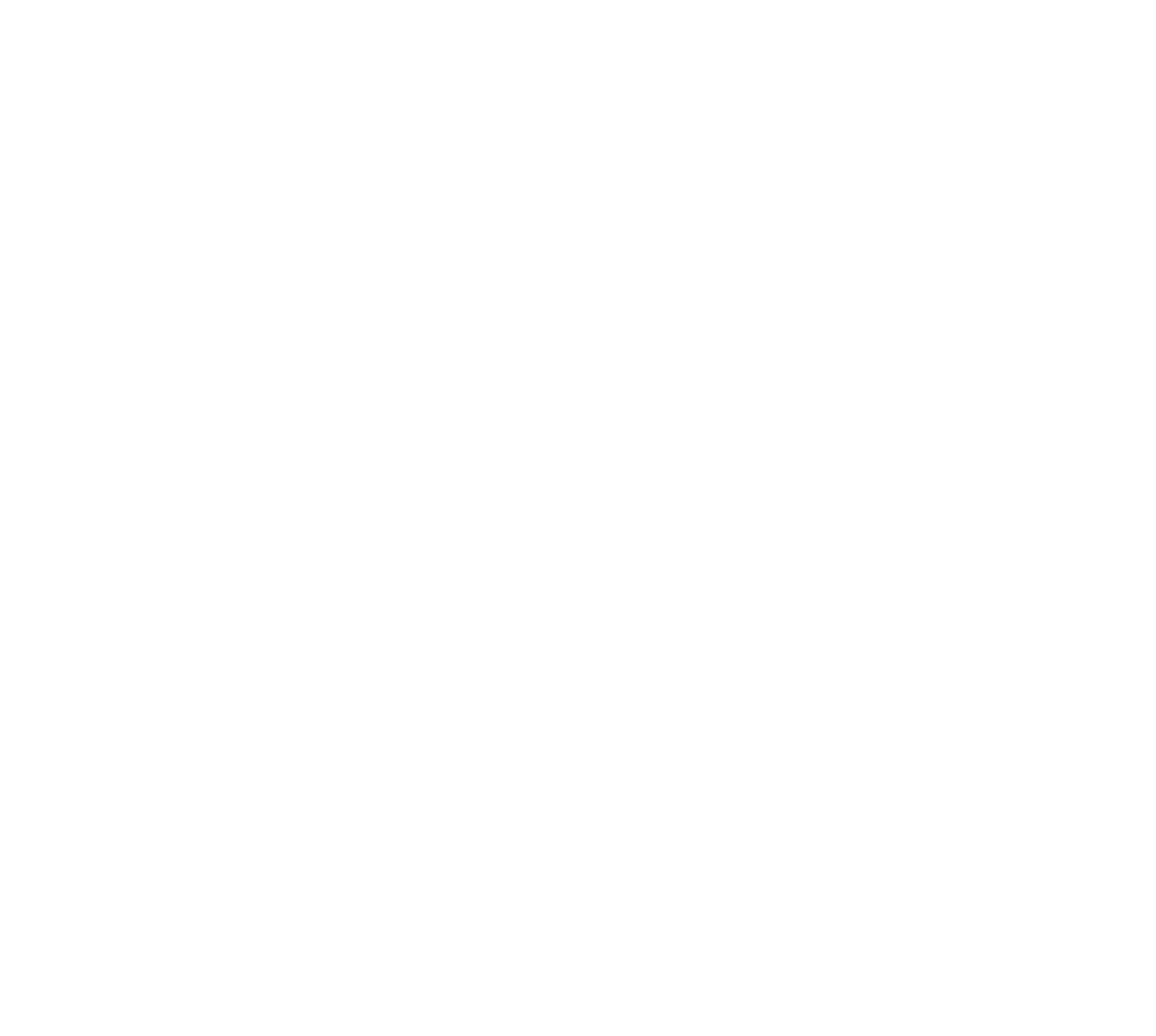 Tengu Knives Logo Weiss